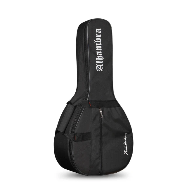 Fundas y estuches para Guitarra